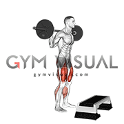 Barbell Squat Jump Step Rear Lunge
