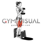 Dumbbell Supported Squat (female)