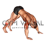 Pike Push up