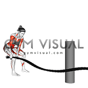 Battling Ropes Side Raise (female)