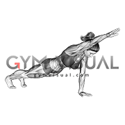 Front Plank with Arm Lift (push up position) (female)