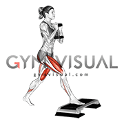 Dumbbell Goblet Split Squat Front Foot Elevanted (female)