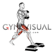 Db split squat front foot 2025 elevated