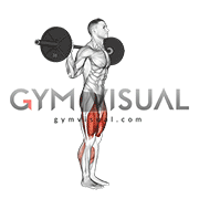 Barbell Walk Calves Activation