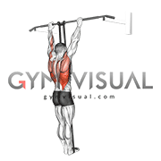 Band Assisted Pull Up (VERSION 3)
