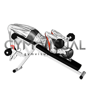 Barbell Decline Close Grip To Skull Press (female)