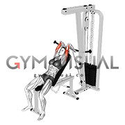 Cable Incline Triceps Extension (female)