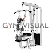 Cable Pulldown Bicep Curl (female)