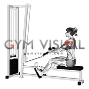 Cable Rear Delt Row (stirrups) (female)