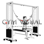 Cable Seated Overhead Curl (female)