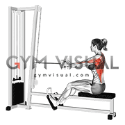 Cable Straight Back Seated Row female