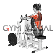 Lever Narrow Grip Seated Row (plate loaded) (female)