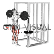 Barbell Weighted Front Chest Squat