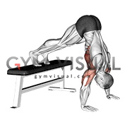 Pike Push up (on Bench) (VERSION 2)