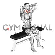 Seated Flexion And Extension Neck (male)