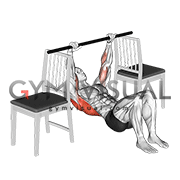 Inverted Row with Bent Knee between Chairs