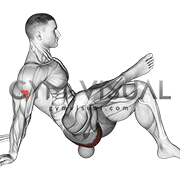 Roll Ball Piriformis Release
