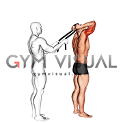 Assisted Standing Triceps Extension (with towel)