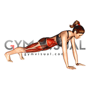 Bridge - Mountain Climber (Cross Body) (female)