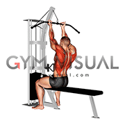 Cable Reverse grip Straight Back Seated High Row