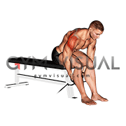 Cable Seated Rear Lateral Raise