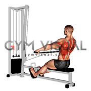 Cable Seated Wide grip Row