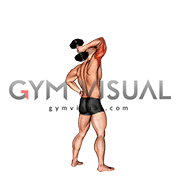 Dumbbell Standing One Arm Extension