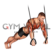 Suspended Push Up