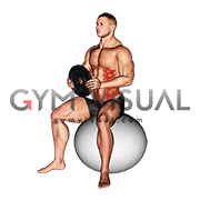 Weighted Seated Twist (on stability ball)