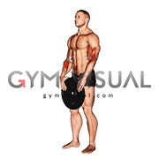 Weighted Standing Curl