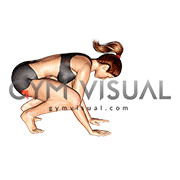 Crane Pose Bakasana