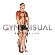 Band front raise