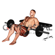 Barbell Hip Thrust