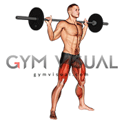 Barbell sumo squat