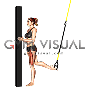 Suspender Single Leg Split Squat (self assisted)