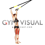 Suspender Squat (Arms Overhead)