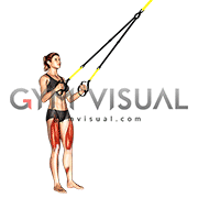 Suspender Squat