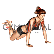 Push up (on knees)