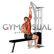 Cable one arm lat pulldown
