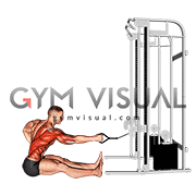 Cable one arm twisting seated row