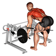 Lever Row (plate loaded)