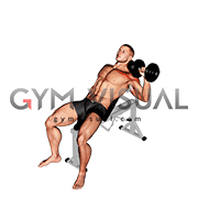 Dumbbell Incline One Arm Press