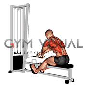 Cable Rope Crossover Seated Row