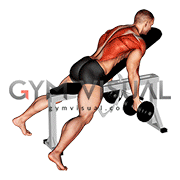 Dumbbell Reverse Grip Incline Bench Two Arm Row