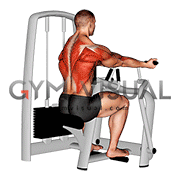 Lever Reverse Grip Vertical Row
