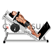 Hack Calf Raise