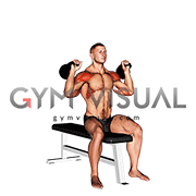 Kettlebell Seated Two Arm Military Press
