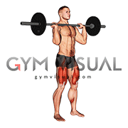 Barbell Jerk Dip Squat