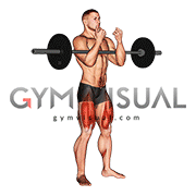 Barbell full Zercher Squat