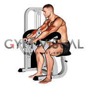 Lever Reverse Grip Preacher Curl